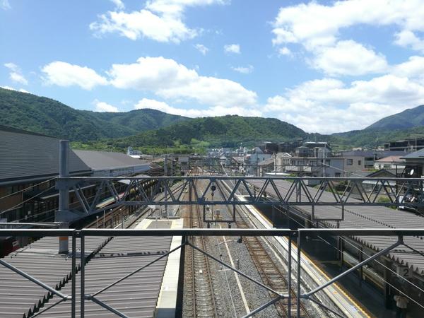 不一样的体验完整版,不一样的体验小说后续