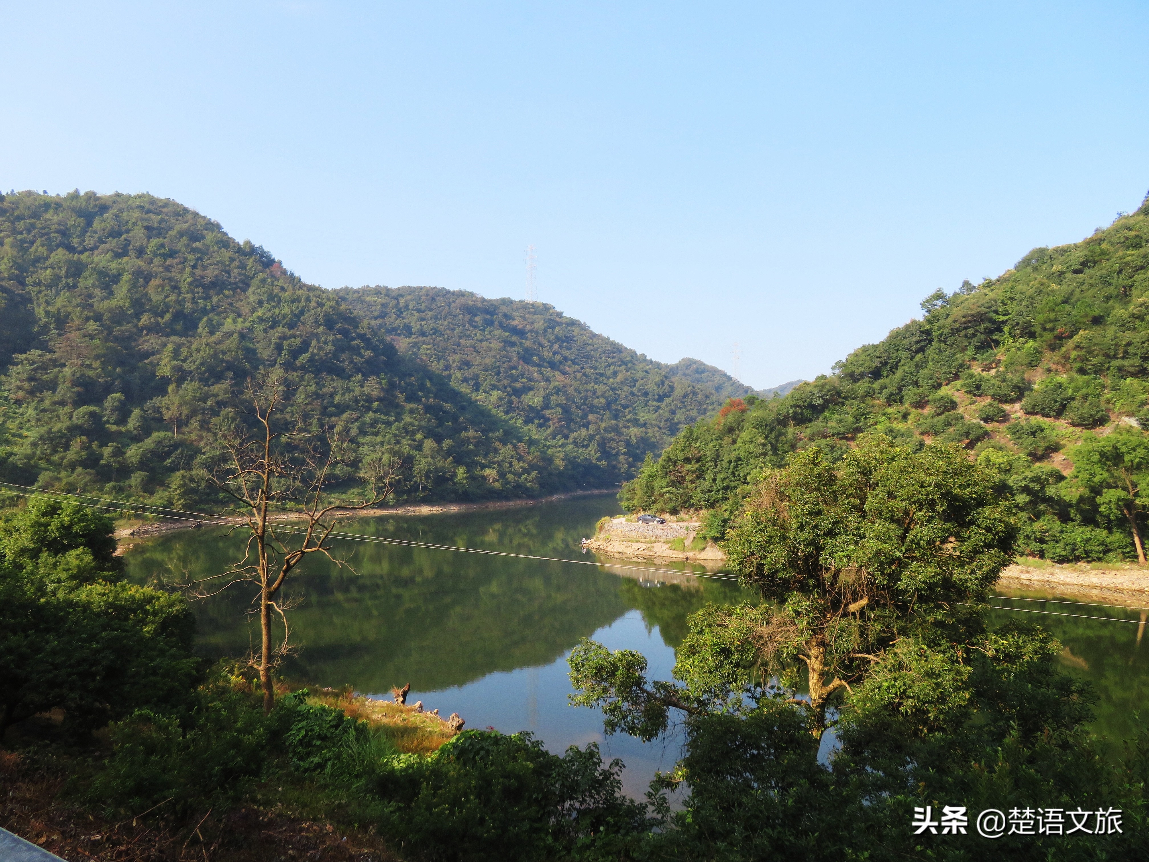 盛产杨梅而闻名的县是哪里,杨梅之乡余姚在什么省