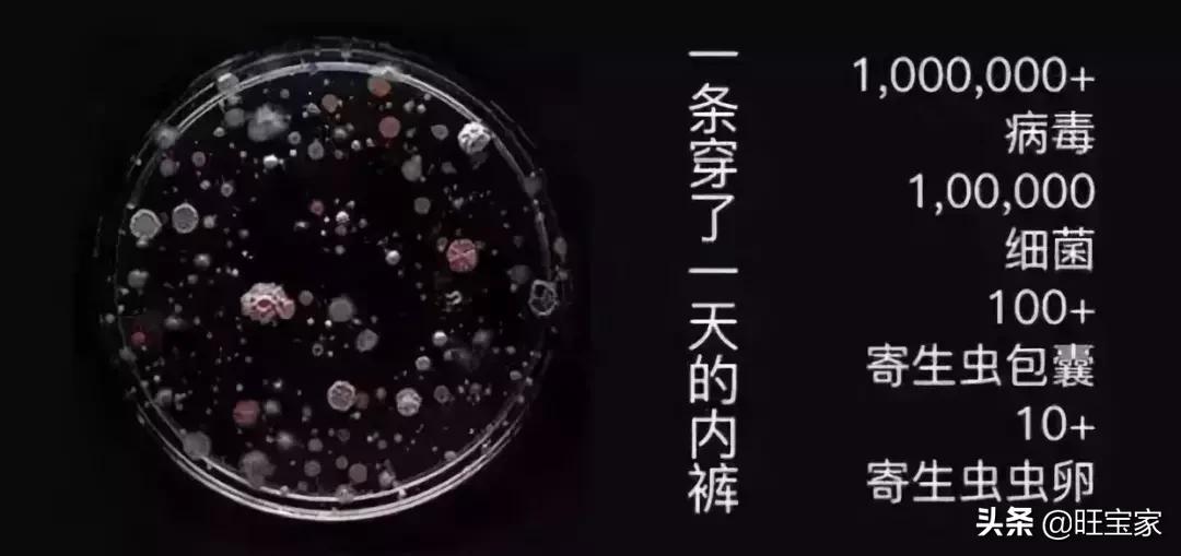 *裤内**的那些事，至关重要，未孕、已孕的女性都要知道！