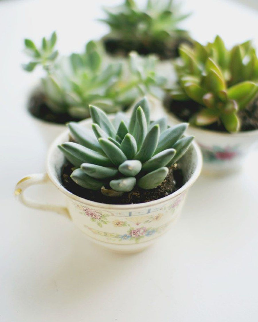 家居收纳日本主妇收纳秘笈大公开,日本主妇如何收纳冰箱蔬菜