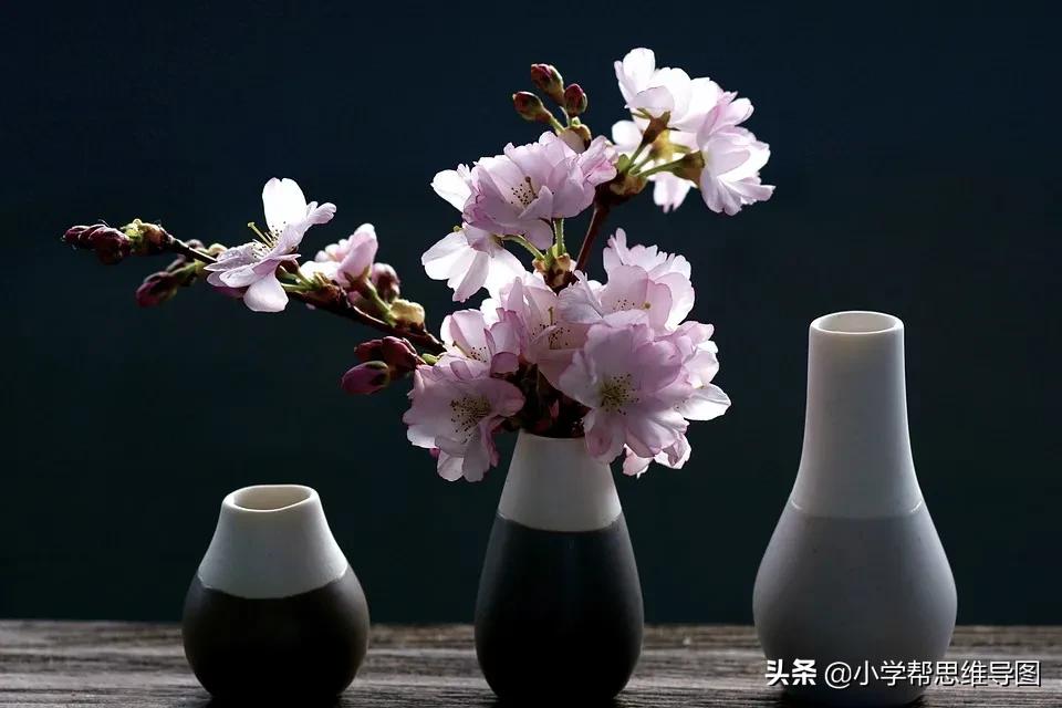 如何写作文推荐一本书范文,我最喜欢的一本书写作指导