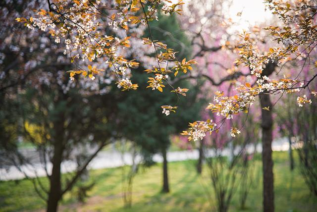 哪些便宜又好用的镜头,什么牌子的镜头最好用