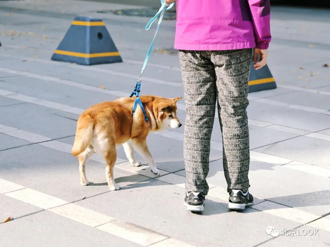 帝都三里屯,最新三里屯