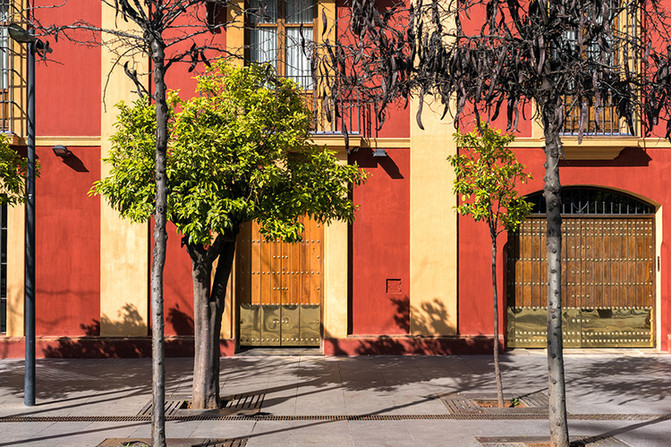 塞维利亚之行西班牙,西班牙塞维利亚之行