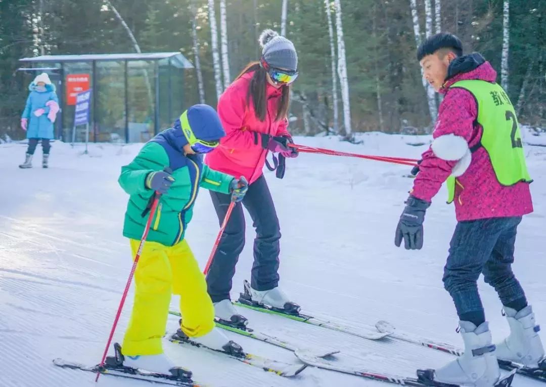 哈尔滨冰雪世界研学,新启元厦门暖冬研学营