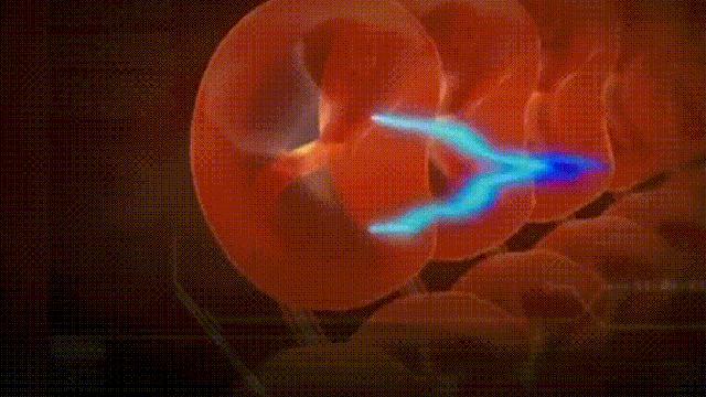 电鳗的电可以发电吗,电鳗为什么能够发电