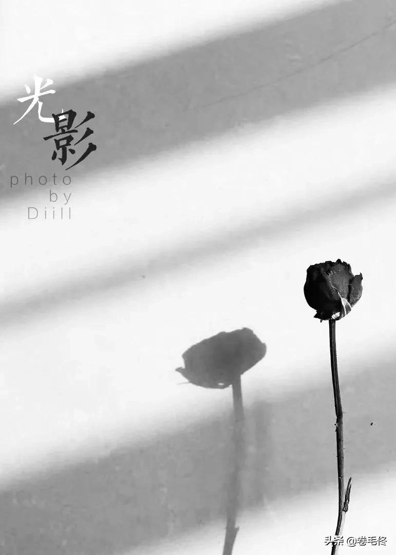 黑白摄影只是去掉颜色?快来欣赏“无色”世界的美