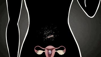 男用避孕药通过试验,网友:叫刘阳打针,半藏森林你不用吃药了