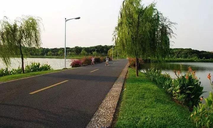 入住观音山旁的5星酒店，度假仅668元，早晚餐下午茶全齐，酒店接送