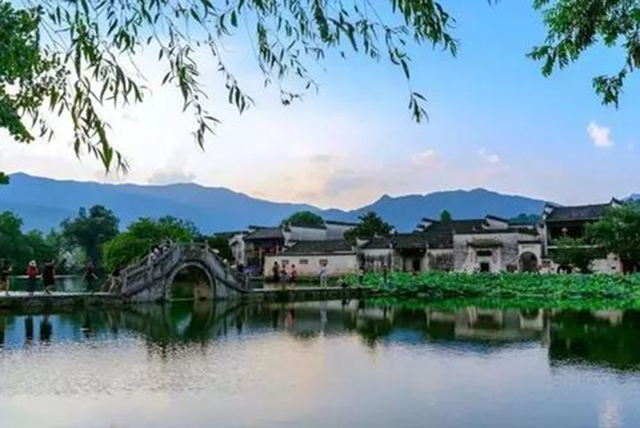 为什么安徽有名茶,安徽是不是最好的茶叶产区