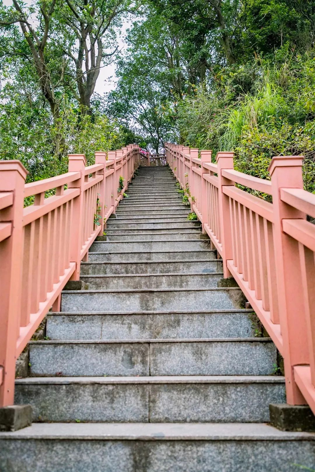 深圳值得去的地标,深圳值得去的景点排行榜