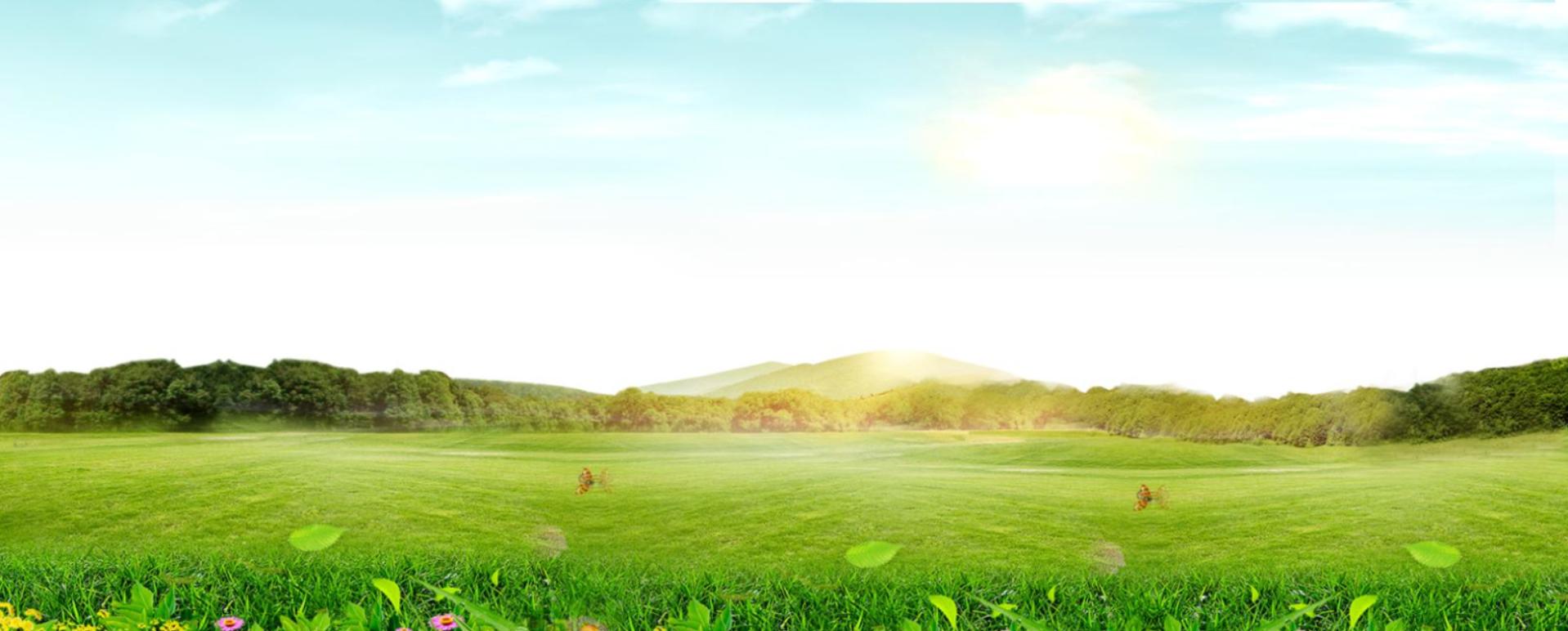 设计师免费素材库大全无水印高清,设计师高端素材库推荐