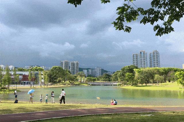 中央支持深圳建先行示范区,支持深圳建设社会主义先行示范区