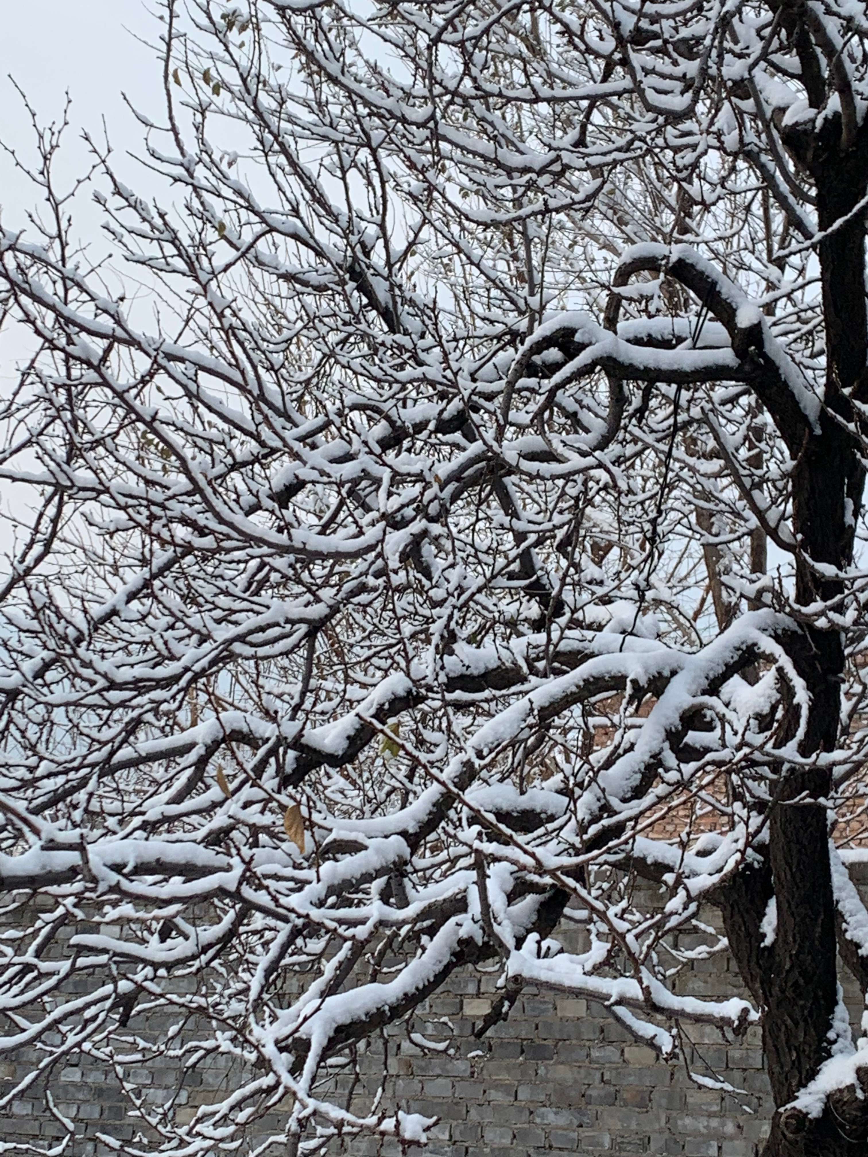 梦解红楼完整版,甄士隐梦幻通灵贾雨村
