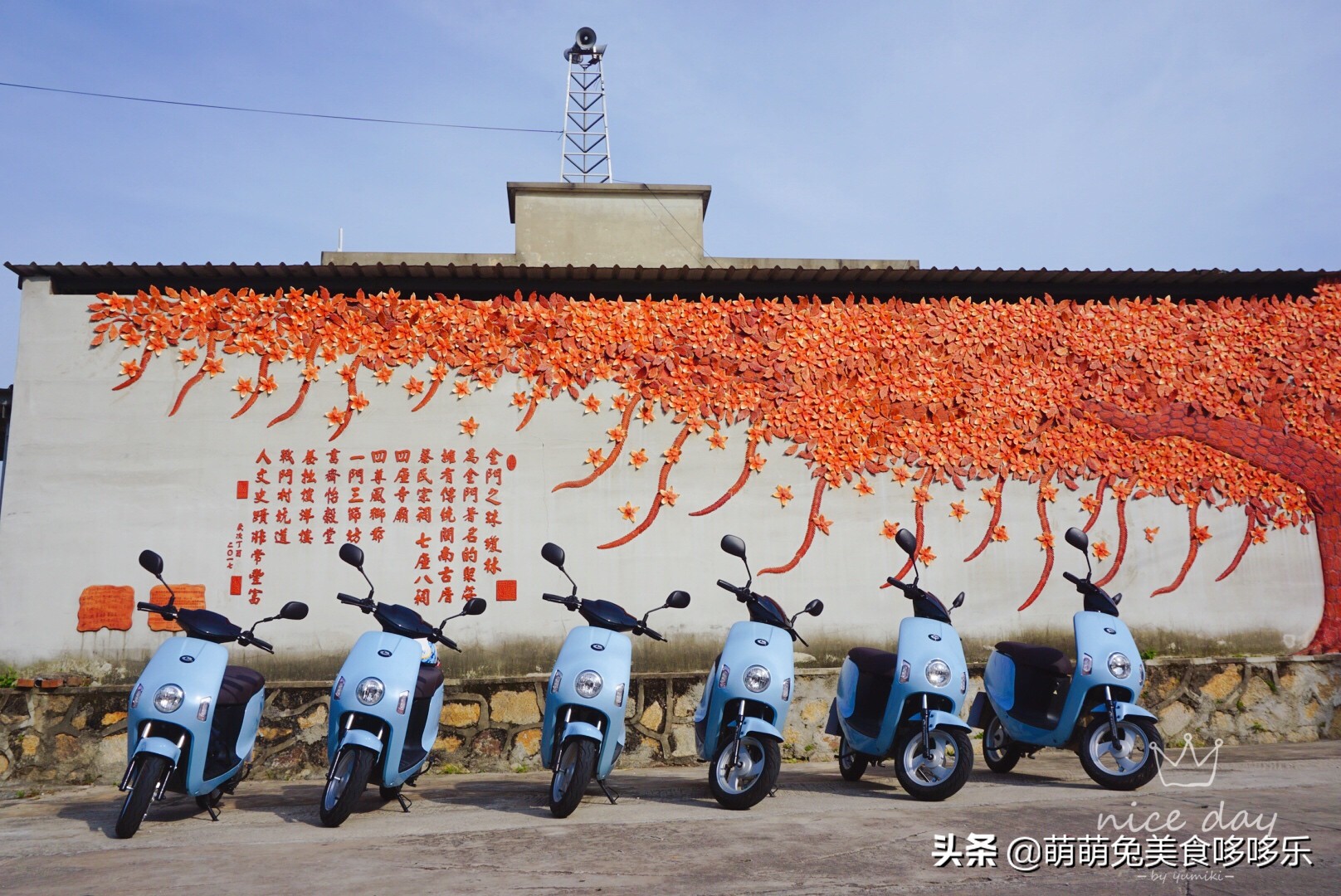 七月你好直播完整版,七月你好表演