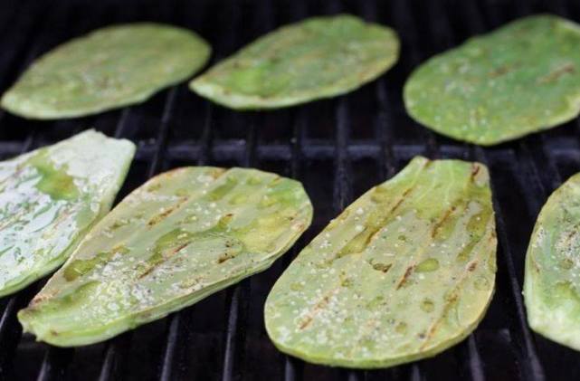 同样都是血肉之躯,仙人掌上那么多刺为啥骆驼还能吃