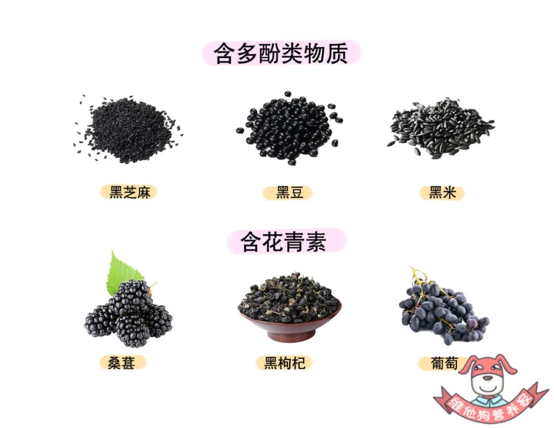 喝黑芝麻黑豆真的能黑发吗,年纪轻轻长白头发吃黑芝麻可以吗