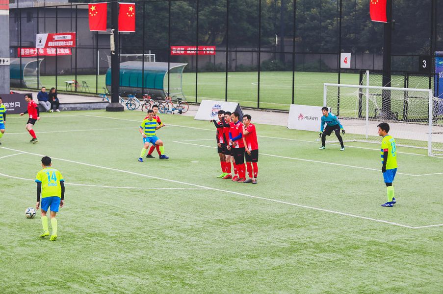 成都文旅熊猫馆直播,成都文旅官方直播