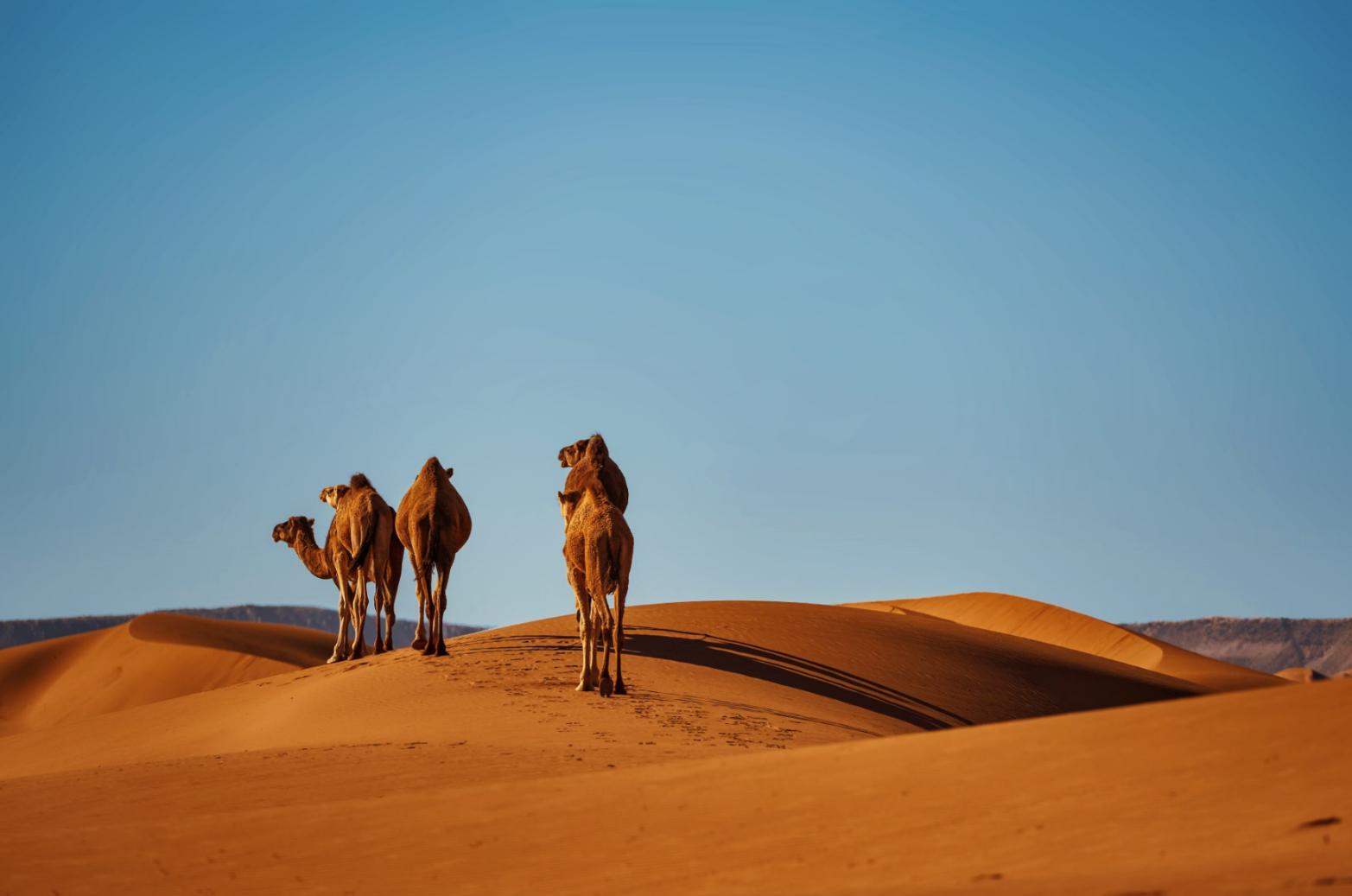 学习pS简单吗,学习ps中存在的问题