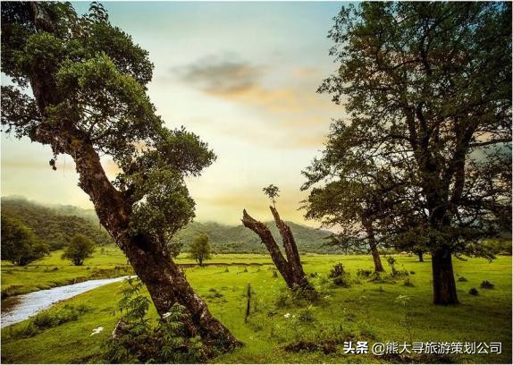 中国最大伊甸园,发现人类秘密