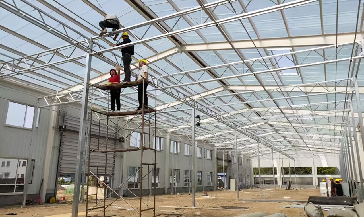 海归创业亏1700万,海归博士年收入八万万