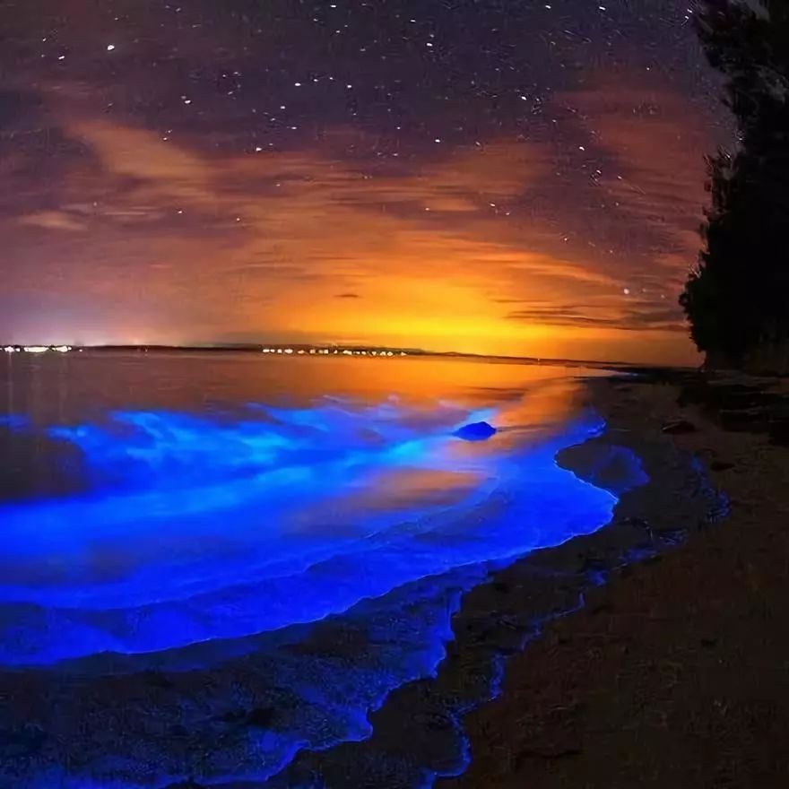 女神节有无与伦比的美丽,女神节浪漫游花海