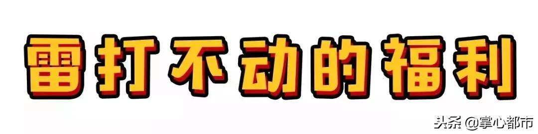 寻味保定特色小吃,寻味保定美食