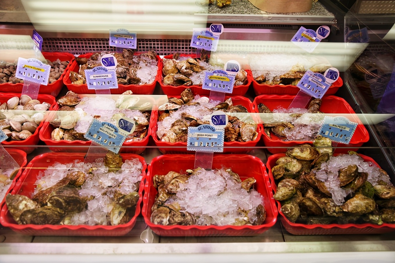 「怀念系列」加拿大（5）｜品尝奥巴马同款枫叶糖