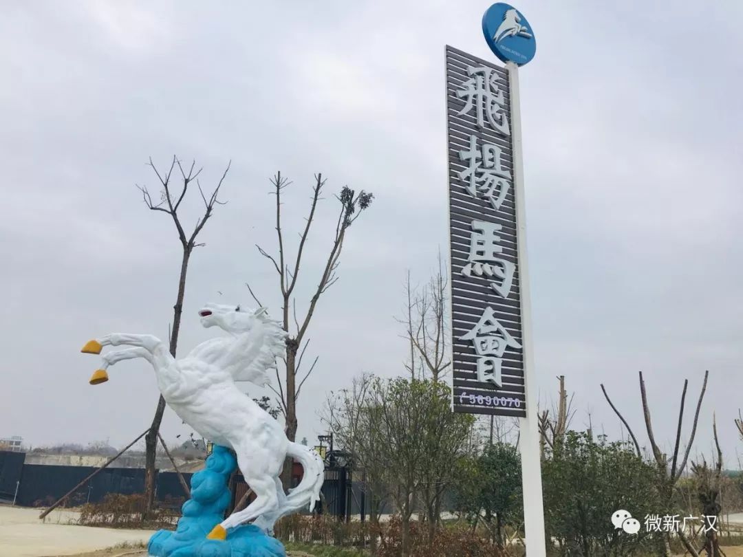 游记|来和兴吧!这里的美景美食每一样都超skr~