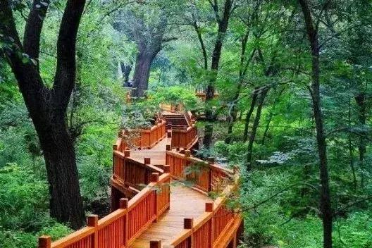 东北五里屯特产排行榜前十名,龙湾特产必买清单