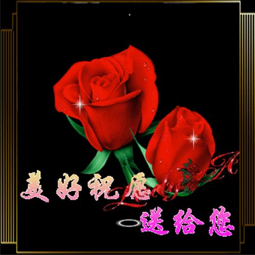 最新早安心语大全,最新早安心语经典语录图片