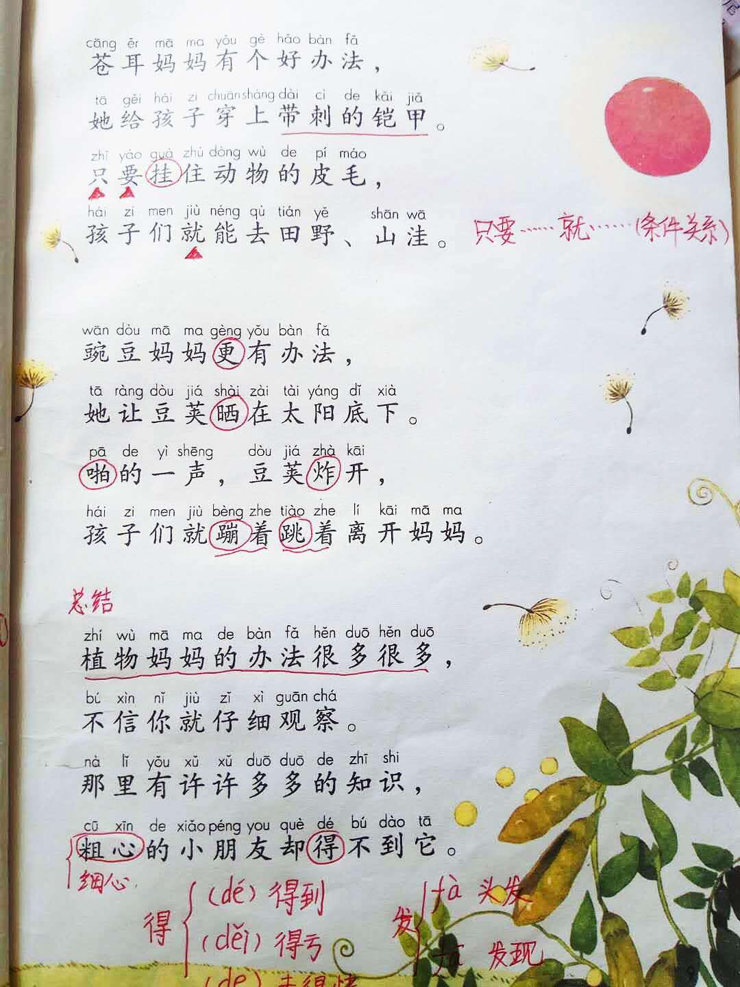 植物妈妈有办法二年级语文知识点,植物妈妈有办法二年级上课文讲解