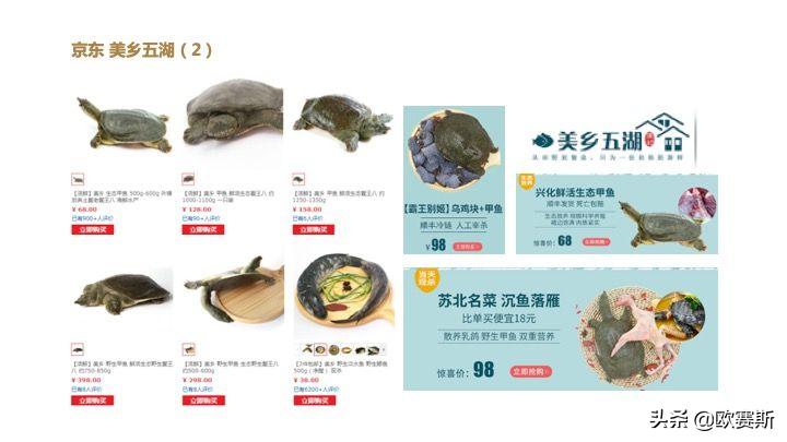 欧赛斯带你全方位洞察甲鱼市场发展趋势及竞争格局