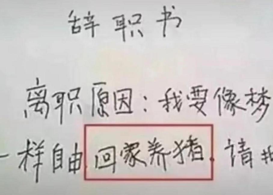 90后辞职信说出来了多少人的内心,90后辞职00后辞职奇葩理由