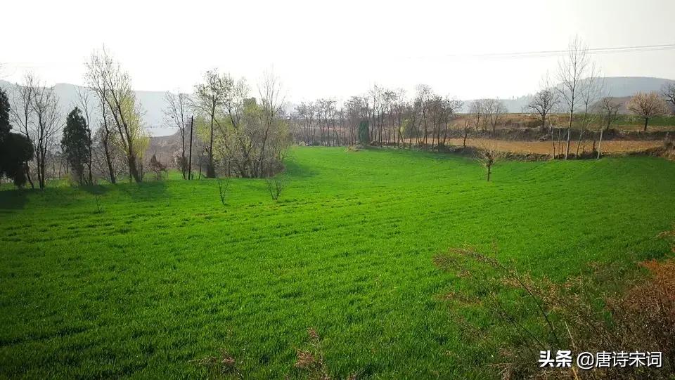 寒食和清明哪一个在前,寒食这首诗是关于清明节的吗