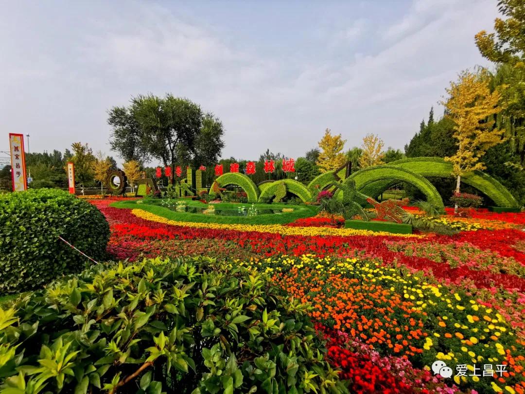 人间最美的旅游地,人间最美四月天去哪里玩