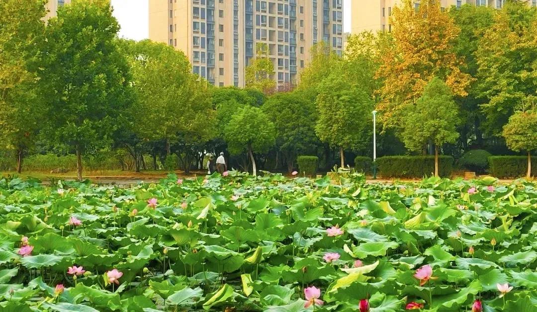 安徽13所一本大学名单,安徽省高校简介