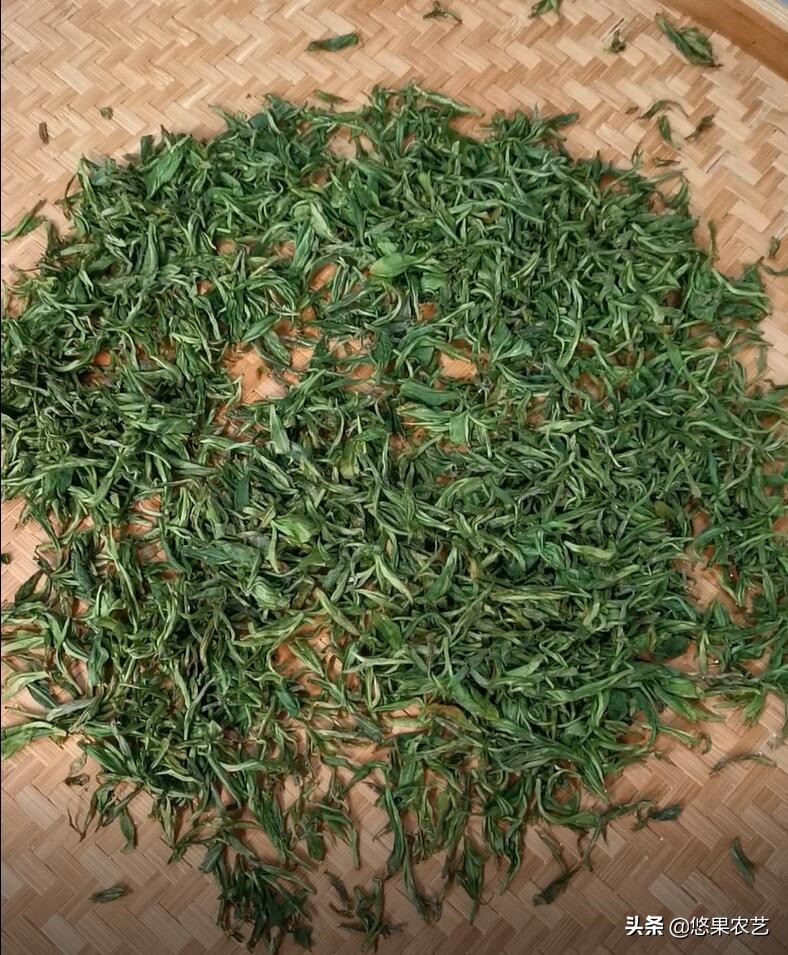 家庭茶叶炒制方法,春天炒绿茶