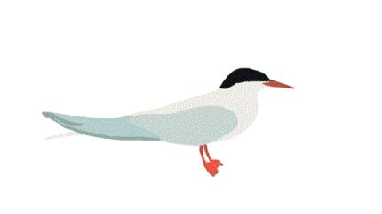 带上单筒望远镜吧！去南汇