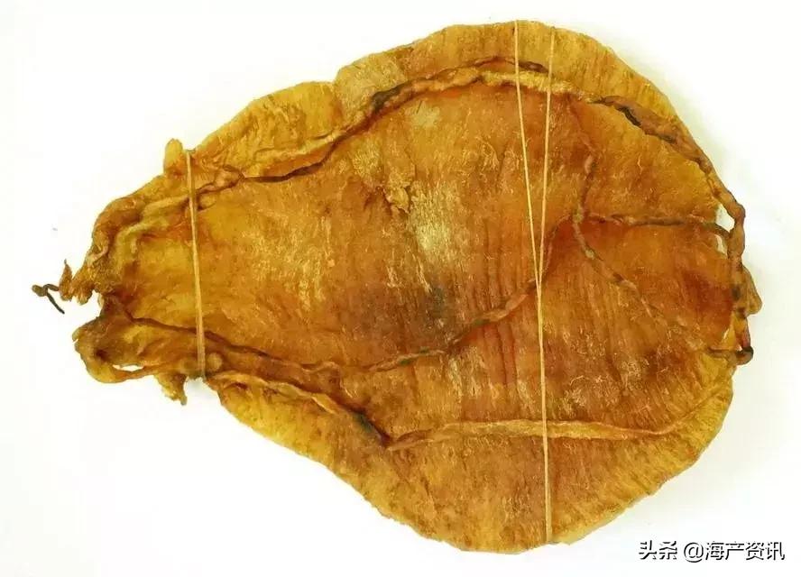 花胶正宗做法大全,花胶高级吃法做法大全