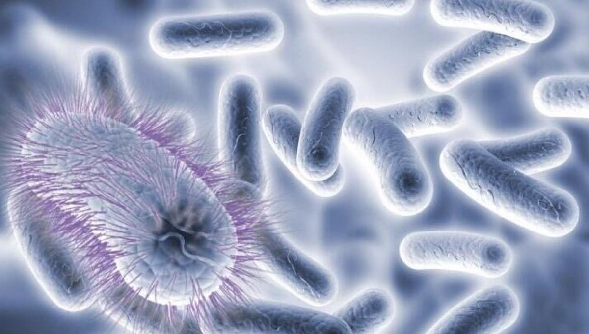 厨房有蟑螂有什么简单方法,家里厨房有蟑螂怎么办