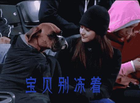 类风湿性关节炎和老寒腿一样么,老寒腿风湿关节炎