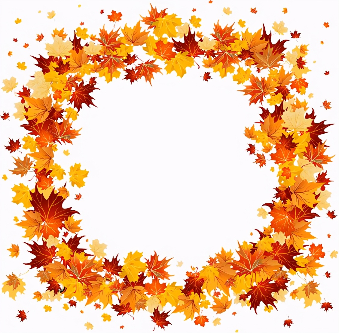 花花边框图片大全简单又漂亮,花花边框视频素材