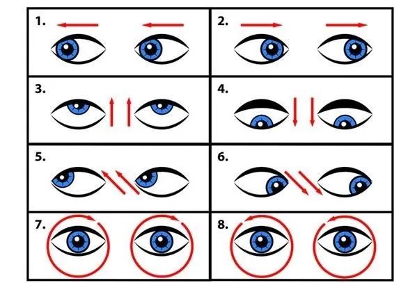 HI西柚|叮！你的护眼攻略已上线，一起来每日打卡吧！