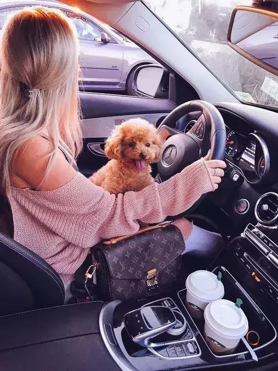 ysl和lv邮差包哪个更好,chanel和ysl包哪个好