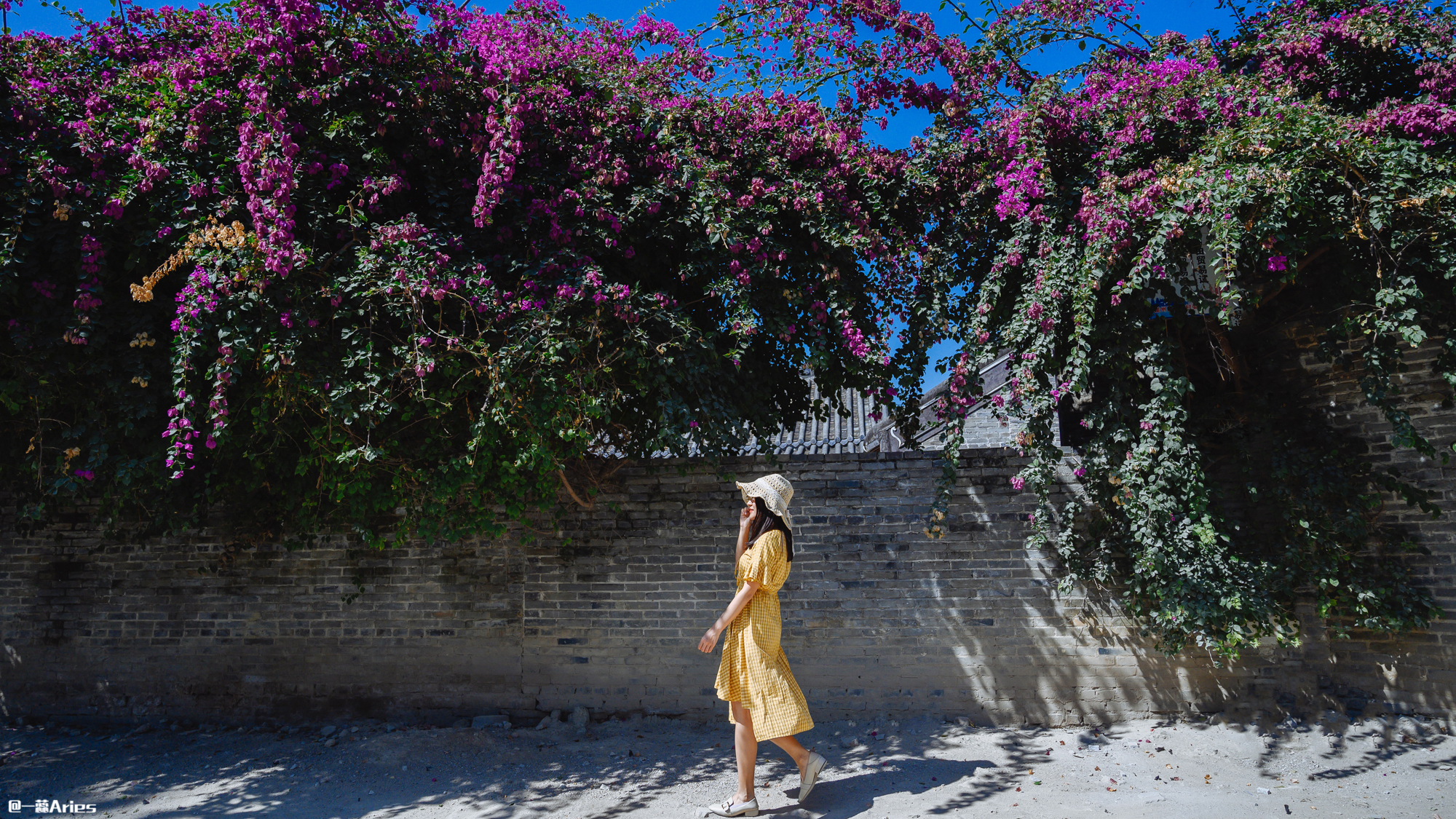 三亚崖州发展史,三亚崖州区详细介绍