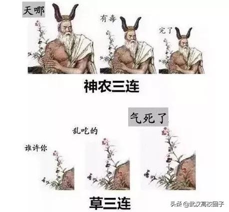 湖北中医药大学，是湖北省唯一一所高等中医药本科院校