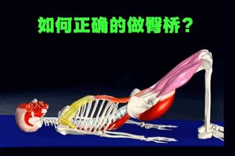 全套瑜伽图解教你练瑜伽,桥式瑜伽视频教程全套