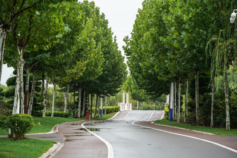山东周边游2天1夜小众,5.1山东五日游