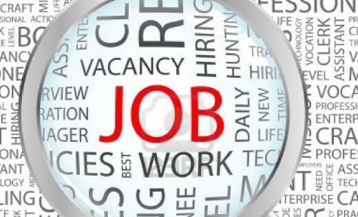 就业指导老师骗局,就业指导老师事例